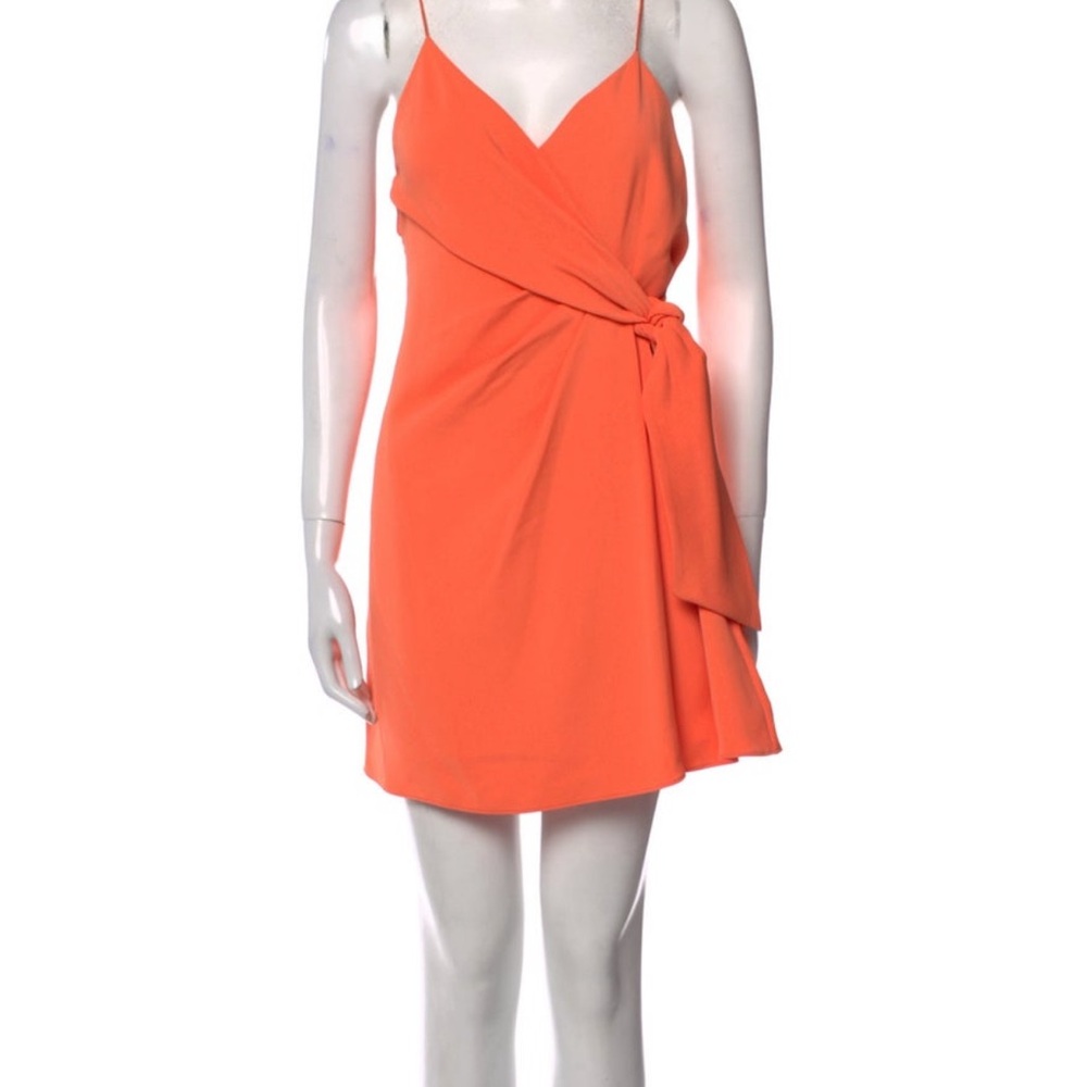 Alice and Olivia Dress